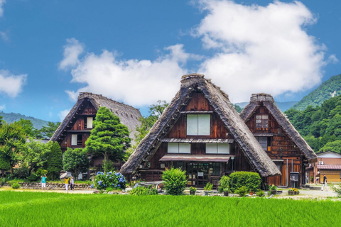 Visite à la journée de Shirakawago&amp;HidaTakayama&amp;GujoHachiman depuis Nagoya