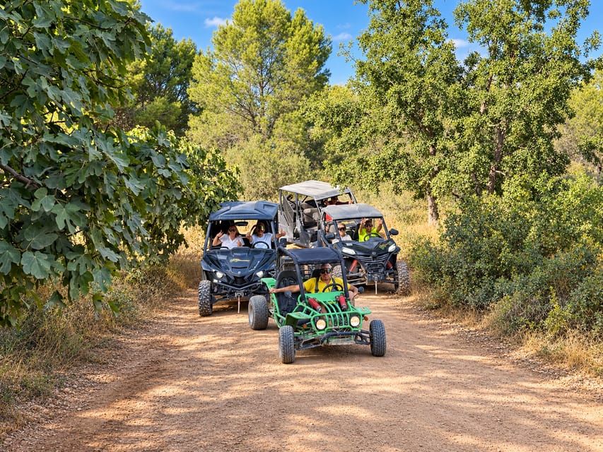 Buggy Scenic or Algar Waterfalls Tour
