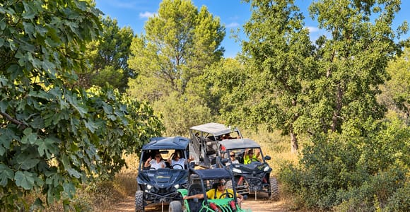 Benidorm: Buggy Scenic or Algar Waterfalls Tour