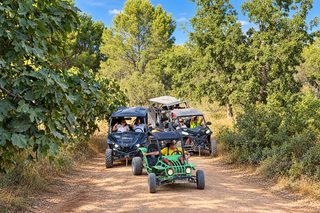 Benidorm: Panorama-Buggy-Tour oder Algar-Wasserfall-Tour