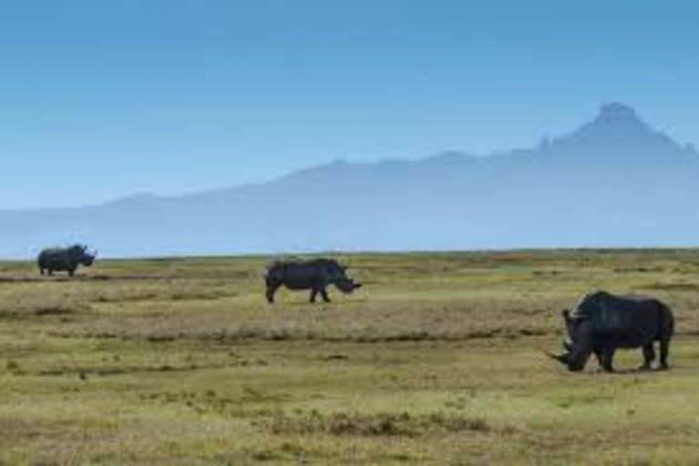 Safari nell&#039;Ol Pejeta Conservancy da Nairobi