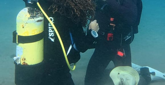Tenerife: PADI Open Water Course, Max 2 Students & Photos