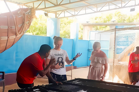 Da Colombo: tour privato all-inclusive di un giorno a Galle e MirissaGalle: tour privato di un giorno lungo la costa meridionale con snorkeling