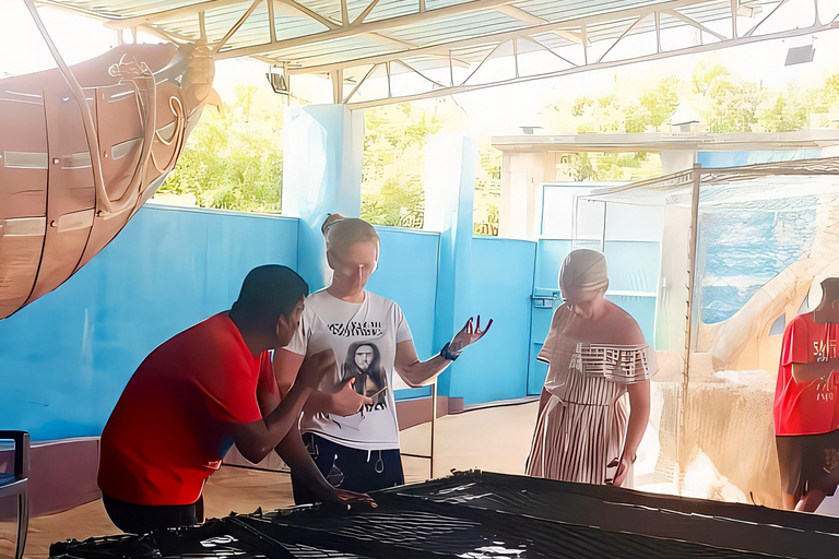 Da Colombo: tour privato all-inclusive di un giorno a Galle e MirissaGalle: tour privato di un giorno lungo la costa meridionale con snorkeling