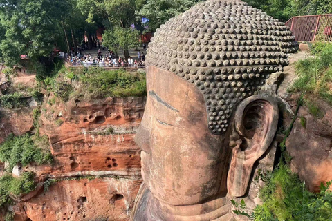 Chengdu: Dagsutflykt till Chengdu med jättepandan och Leshan BuddhaMed den privata guidade dagsturen