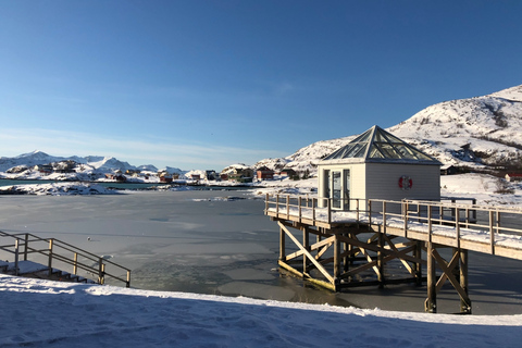 Tromsø. Tour des fjords et des îles, y compris Sommarøy.Îles Sommarøy