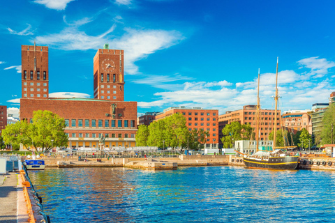 Oslo Old Town Highlights Private Guided Walking Tour 4-hour: Old Town, Oslo Cathedral & National Museum Tour