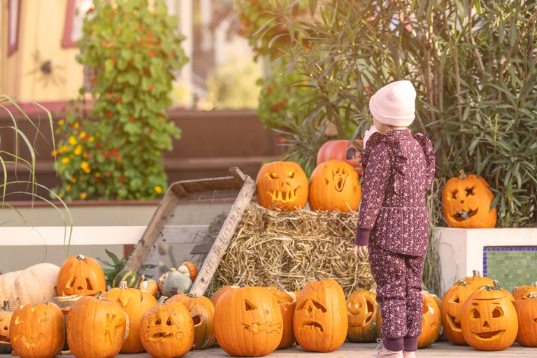 Copenhagen: Halloween at Tivoli Gardens Entry Ticket Copenhagen: Halloween at Tivoli Gardens Entry Ticket 200-100