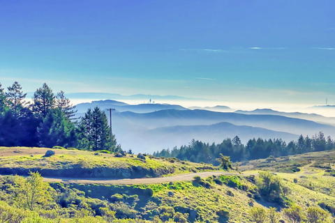 San Francisco: Alcatraz, Muir Woods &amp; Sausalito 2-daagse tour