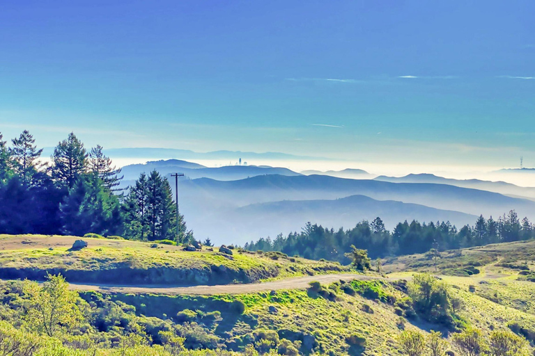 San Francisco: Alcatraz, Muir Woods &amp; Sausalito 2-daagse tour