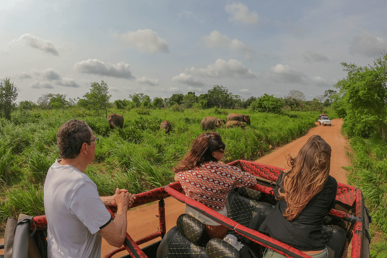 Habarana: Półdniowe safari w Hurulu Eco Park z odbiorem z hotelu