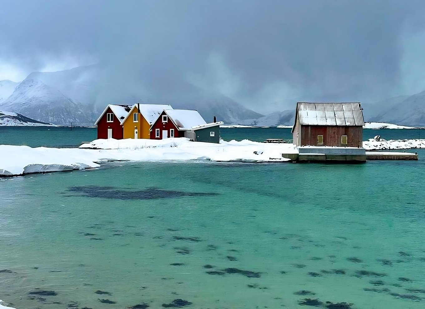 Tromsø: Fjord- og Sommarøy-tur med laksepicnic