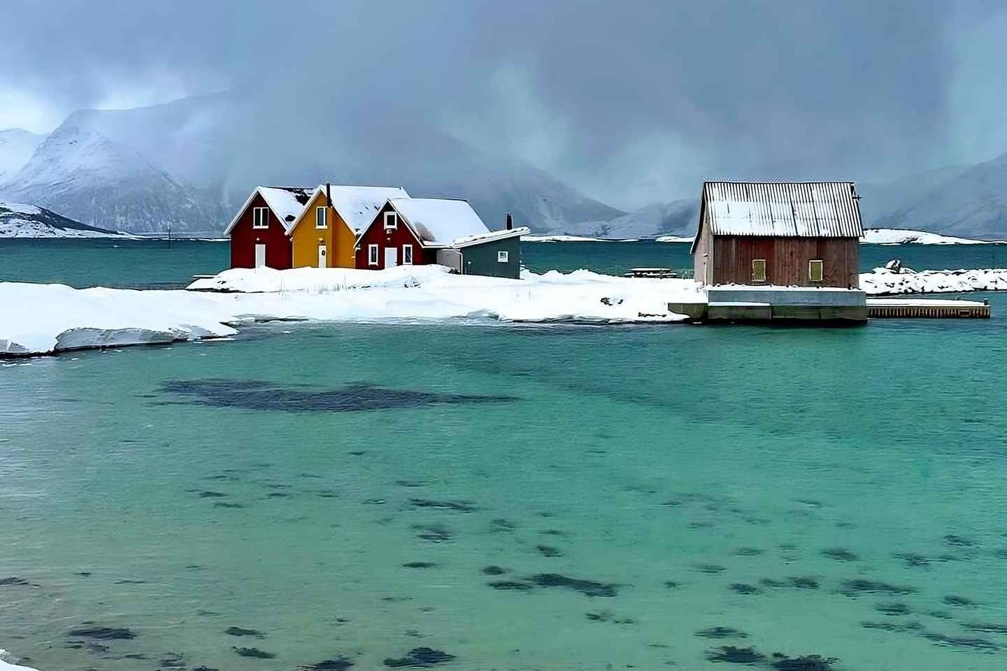 Troms: Fjords and Sommary Islands Tour with Salmon Picnic - Morning Tour