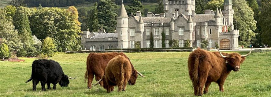 Da Aberdeen: tenuta del castello di Balmoral e tour del Royal Deeside