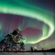 Nordlichtjagd mit Aurora Workshop
