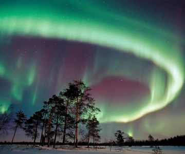Northern Lights Hunting with Aurora Workshop