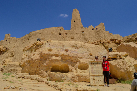 Siwa Oasis 3-Day Private Sandboarding Safari from Cairo Siwa Oasis: 3-Day Desert Safari from Cairo & Sandboarding