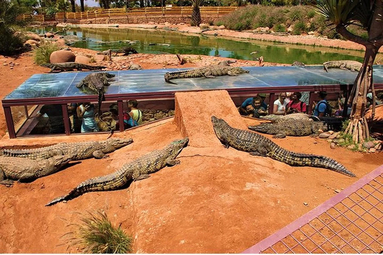 Agadir: Souss-Massa National Park & Crocopark Tour