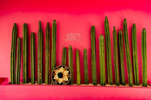 Visita guiada a Cancún: yacimiento arqueológico de El Meco, Cartas y compras