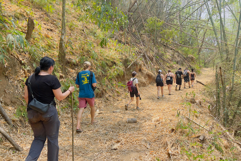 Chiang Rai: The Adventure of Trekking & Bamboo Cooking