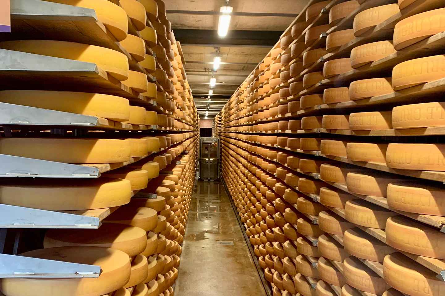 ベルン発 グリュイエール&ラヴォー ワイナリーツアー チーズ・ワイン日帰り旅行