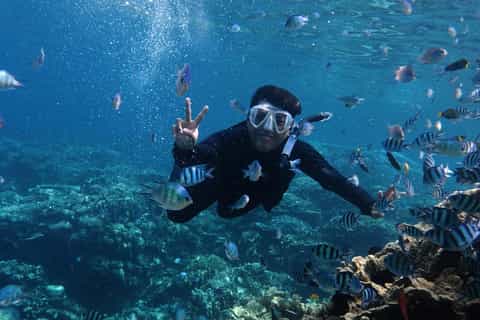 Phi Phi snorkeling tour with clear water and limestone cliffs