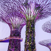 Gardens by the Bay: Cloud Forest and Flower Dome Guided Tour with Entry Gardens by the Bay: Cloud Forest and Flower Dome Guided Tour with Entry