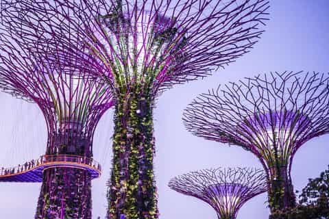Gardens by the Bay: Cloud Forest and Flower Dome Guided Tour with Entry - Image 3