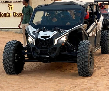 Ras Al Khaimah: Dune Buggy Guided Tour With Transfer