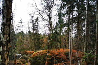 From Prague: Full-Day Bohemian Paradise Guided Hiking Trip