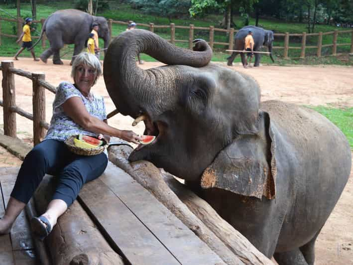 Colombo Tur Sehari di Kandy dengan Panti Asuhan Gajah Pinnawala |  GetYourGuide