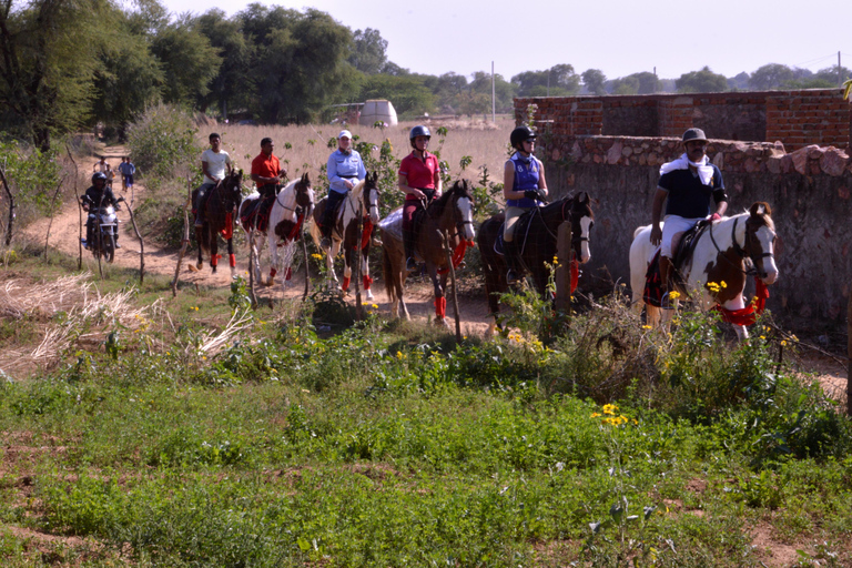 Jaipur paardrij avontuur