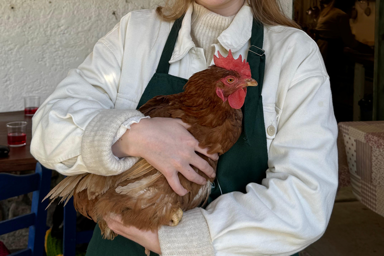 Rhodes: 1952 Farmhouse Cooking & Lunch with Unlimited Wine Rhodes: Cooking Class & Lunch at a traditional Farmhouse