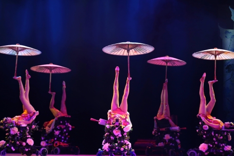 Beijing Nacht Tour met Acrobatiek Show & Peking Eend Diner