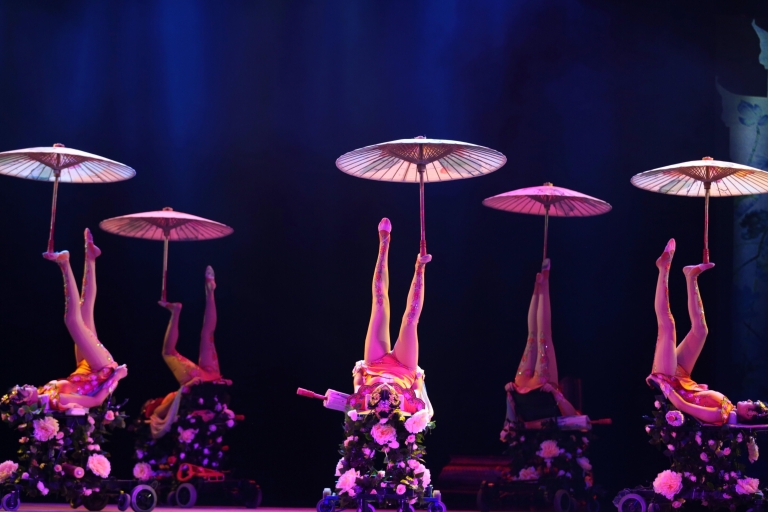 Beijing Nacht Tour met Acrobatiek Show & Peking Eend Diner