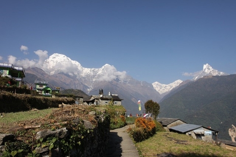 Von Pokhara aus: 4-tägige Poon Hill Private Trek Tour