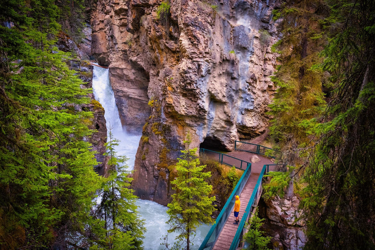 Jezioro Louise, jezioro Moraine, kanion Johnston (2 godz.) w Banff