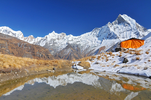 Trek du camp de base de l&#039;Annapurna : 5 jours au départ de PokharaPokhara : 5 jours de trekking au camp de base de l&#039;Annapurna avec guide