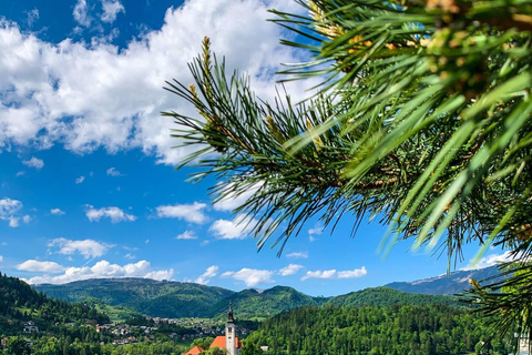 Bled: E-bike tocht langs het meer van Bled & Triglav Nationaal Park Picknick