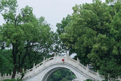 Guilin City Shared Day Trip: Elephant Hill, Cruise & Cave