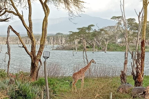 Nairobi: Crescent Island Sanctuary Day Trip with Lunch Nairobi: Crescent Island Sanctuary private day Trip