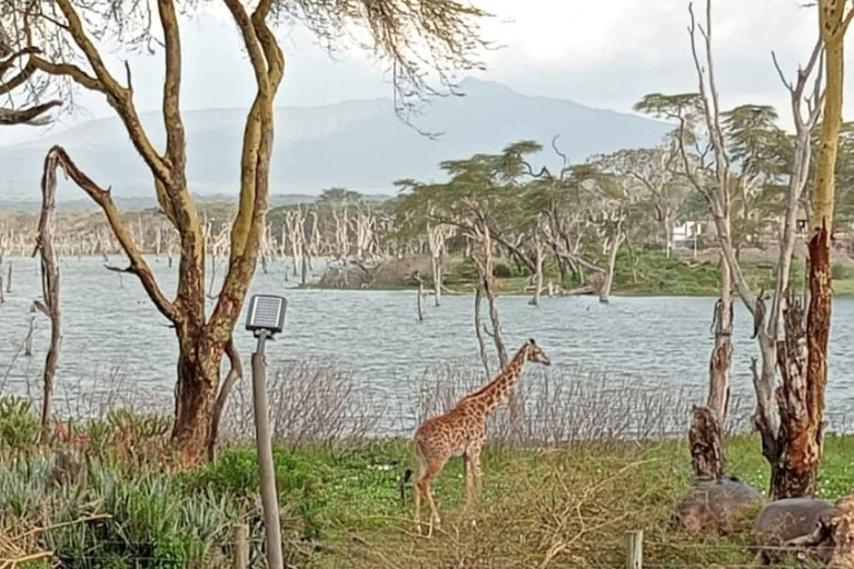 Nairobi: Crescent Island Sanctuary Day Trip with Lunch Nairobi: Crescent Island Sanctuary private day Trip