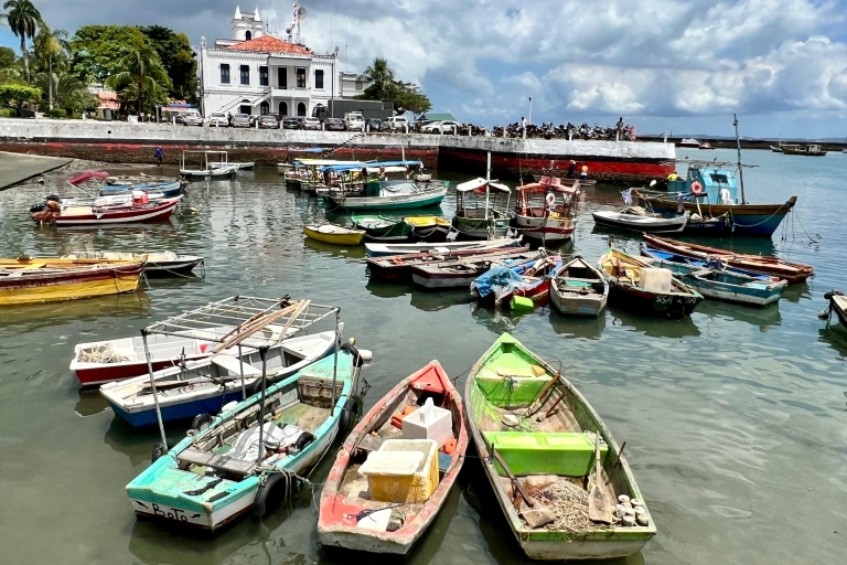 Salvador: City Highlights privétour7 uur Salvador met privétour en stranden Pelourinho