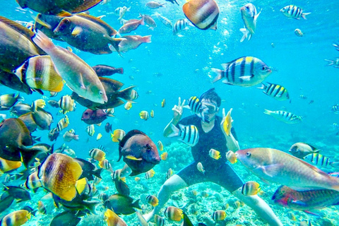 Private Snorkeling Tour Gili Trawangan,Gili Meno,Gili Air Start From: Senggigi,Mangsit,Mataram,Sira,Tanjung,Medana