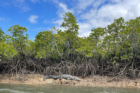 Cairns: 1-Hour Croc Spotting Jet Ski Tour Cairns: 1-Hour Croc Spotting Jet Ski Tour (Solo)