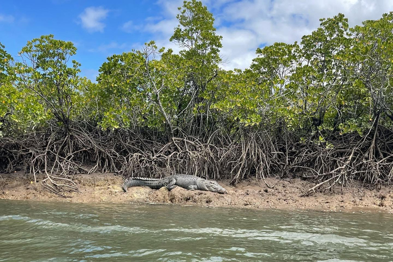 Cairns: 1-Hour Croc Spotting Jet Ski Tour Cairns: 1-Hour Croc Spotting Jet Ski Tour (Solo)