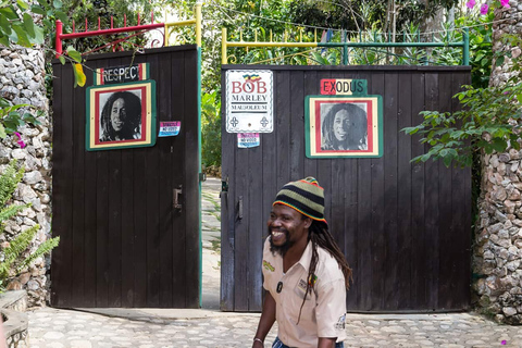 Bob Marley Mausoleum & Dunn’s River Falls Private Tour