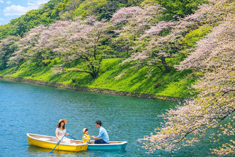 Tokyo Cherry Blossom Day Tour: Asakusa,Chidorigafuchi & Ueno 【Standard】English Guided Sightseeing Tour