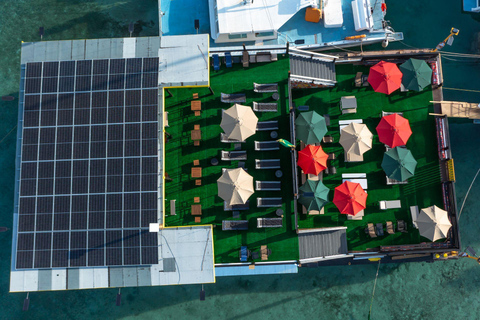 Montego Bay : Poko Loko Floating Bar Island Chill TourMontego Bay : Excursion détente sur l&#039;île du bar flottant Poko Loko