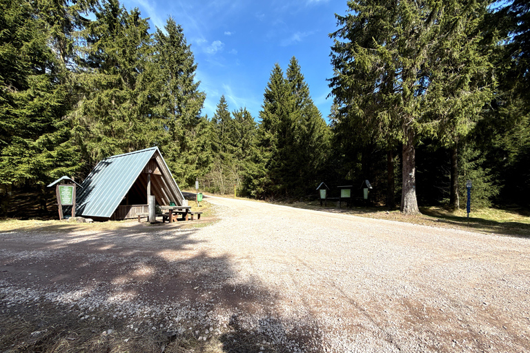 Oberhof: Puzzle hike in the Thuringian Forest